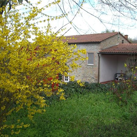 Agriturismo La Selva Villa Siena Exterior foto