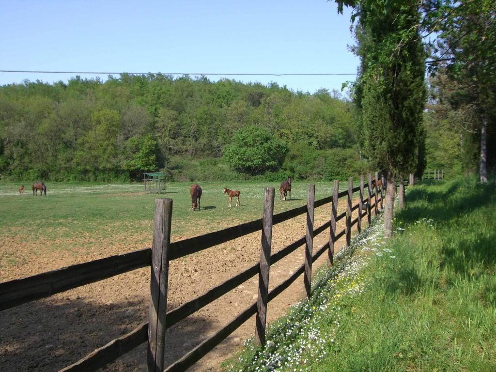 Agriturismo La Selva Villa Siena Exterior foto